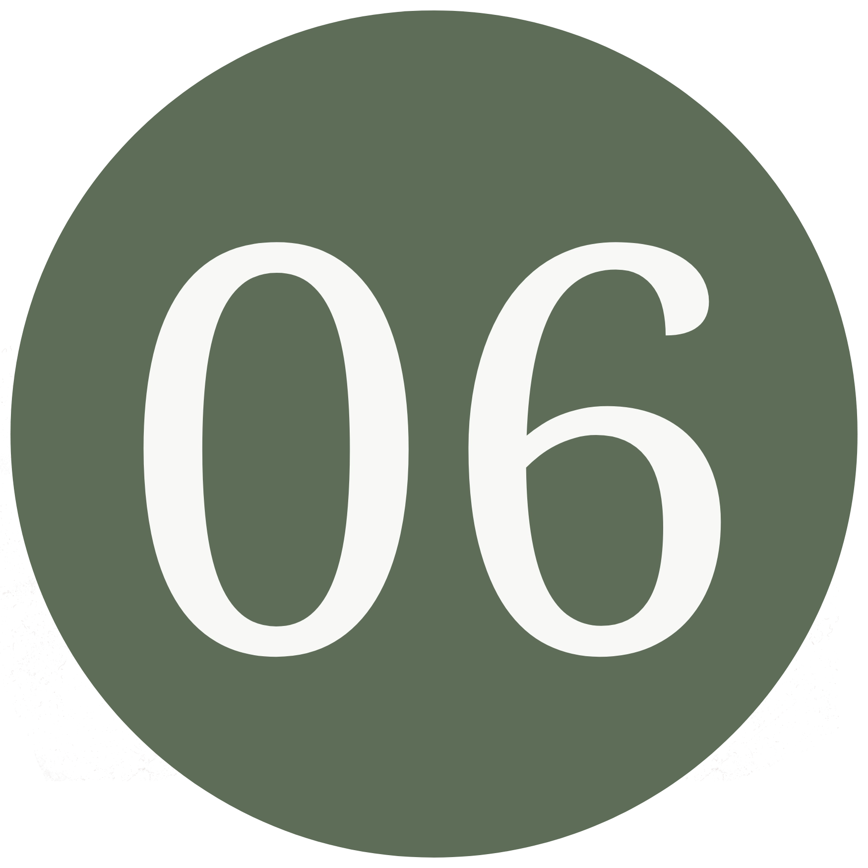 Minimalist icon of the number "06" in a serif font on a dark green circle, representing a sequential sixth step.