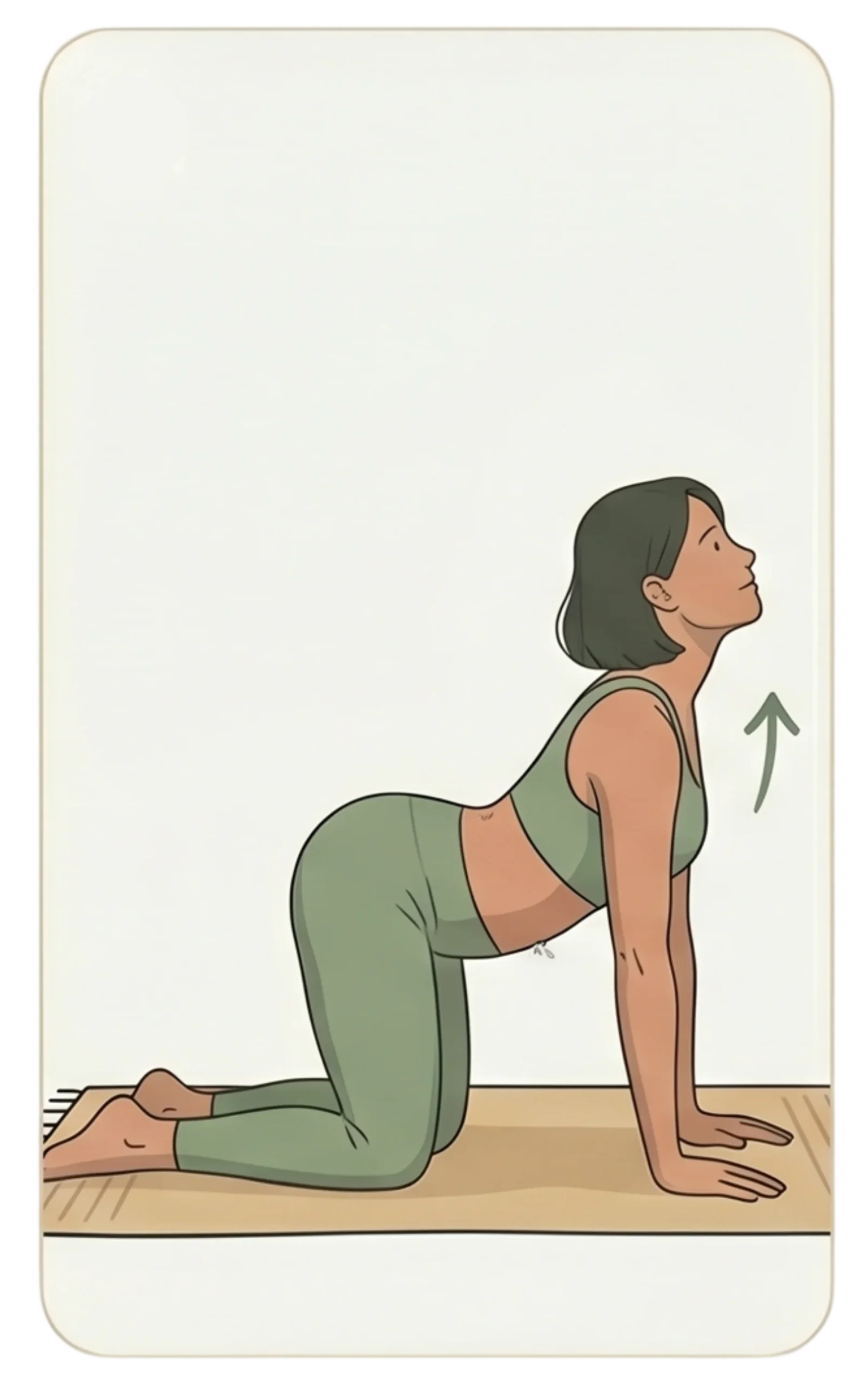 Illustration of a woman arching her back in cow pose with an upward arrow indicating the chest and neck lift.