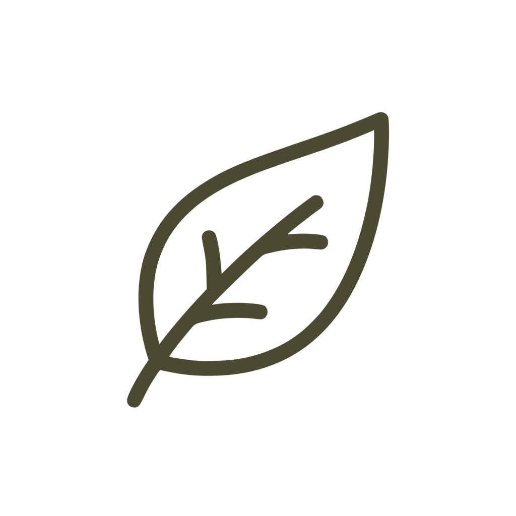 Minimalist line icon of a single leaf in a dark green outline on a white background.