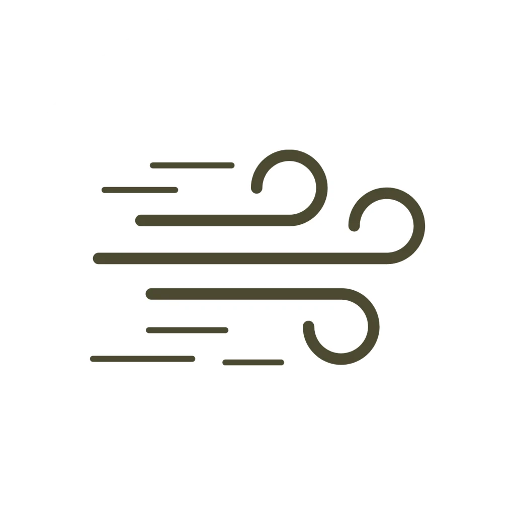 Minimalist line icon of blowing wind or air currents in a dark green outline on a white background.