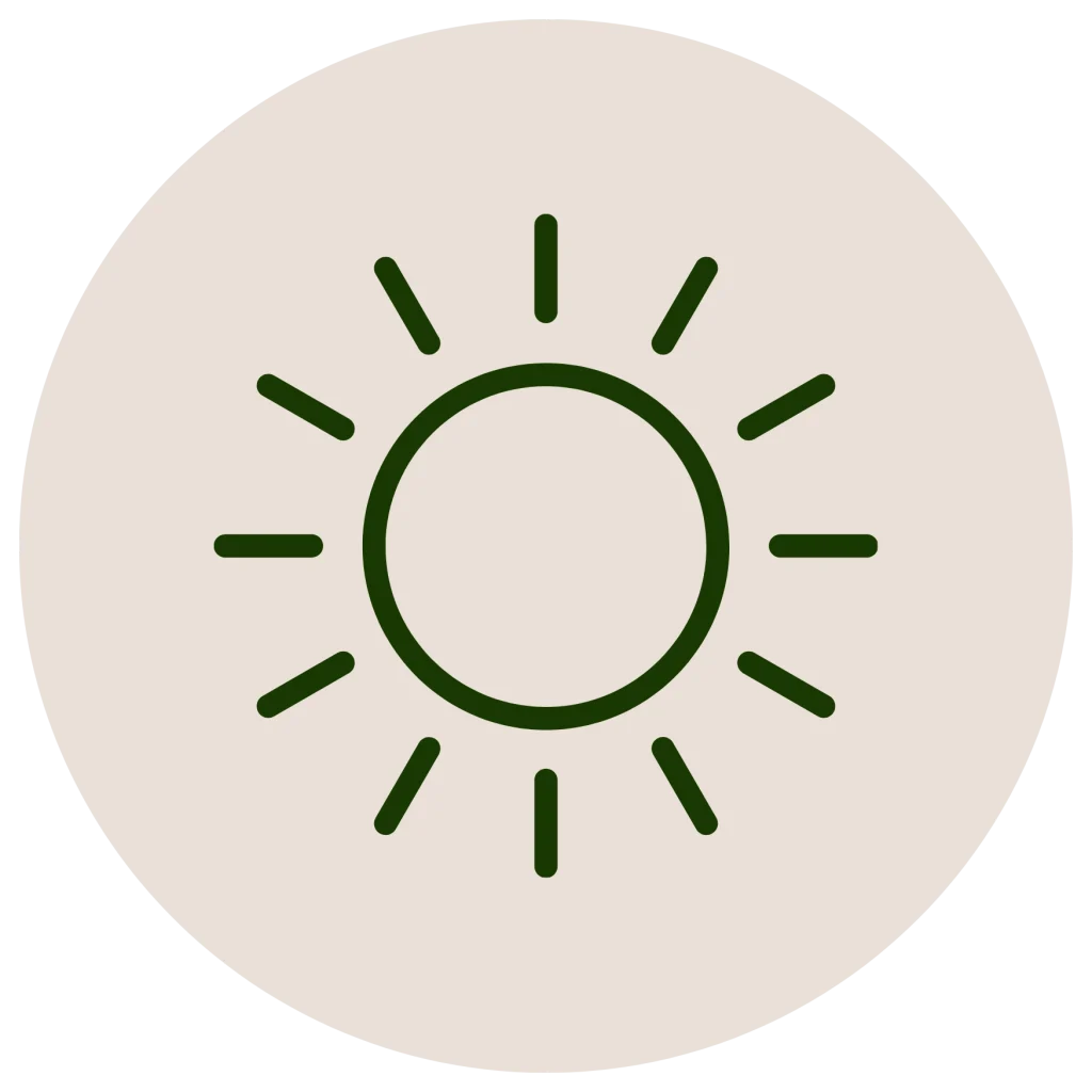 Minimalist line icon of a sun inside a circle, in a dark green outline on an off-white background.