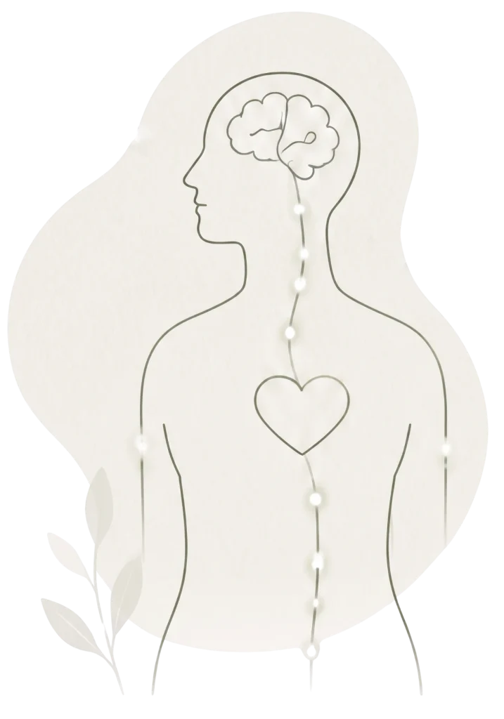 Minimalist line icon representing Emotional Self-Regulation, showing a human silhouette with a highlighted brain and heart connection in a dark green outline on a beige shape.