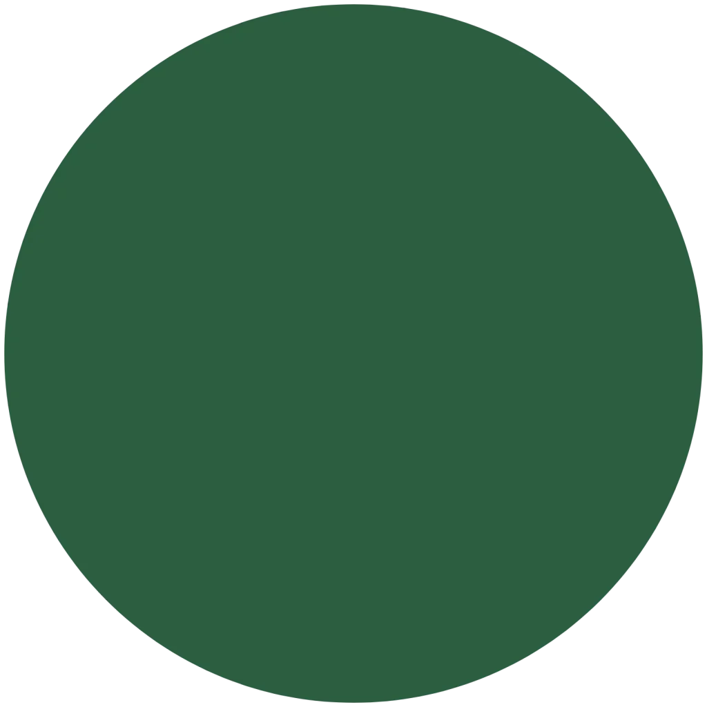 A solid green circle graphic on a white background.