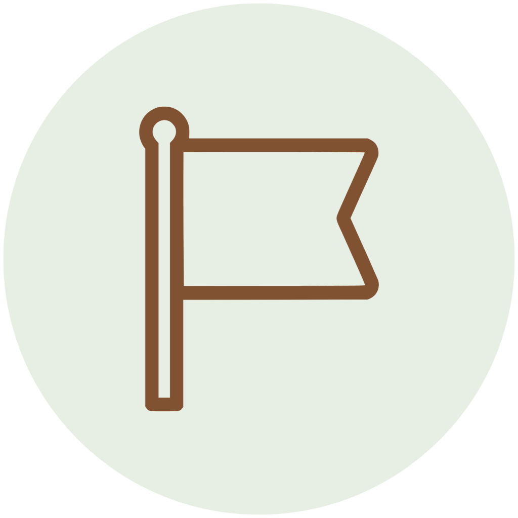 A flag icon, centered in a light green circle.